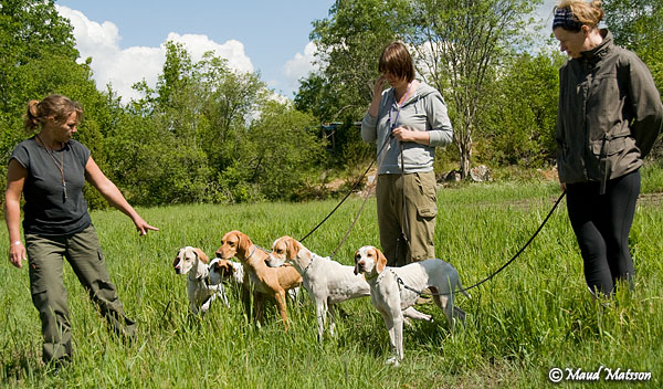 Lisbeth, Jenny & &Aring;sa