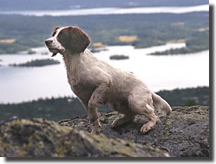 Marsfj&auml;llet 2004