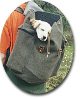 F&ouml;rsta klass sovvagn!