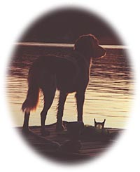 Kleine M&uuml;nsterl&auml;nder