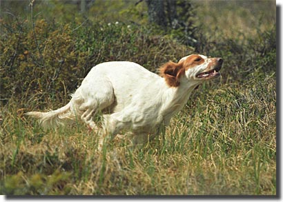 Foto: Torsti M&auml;kinen